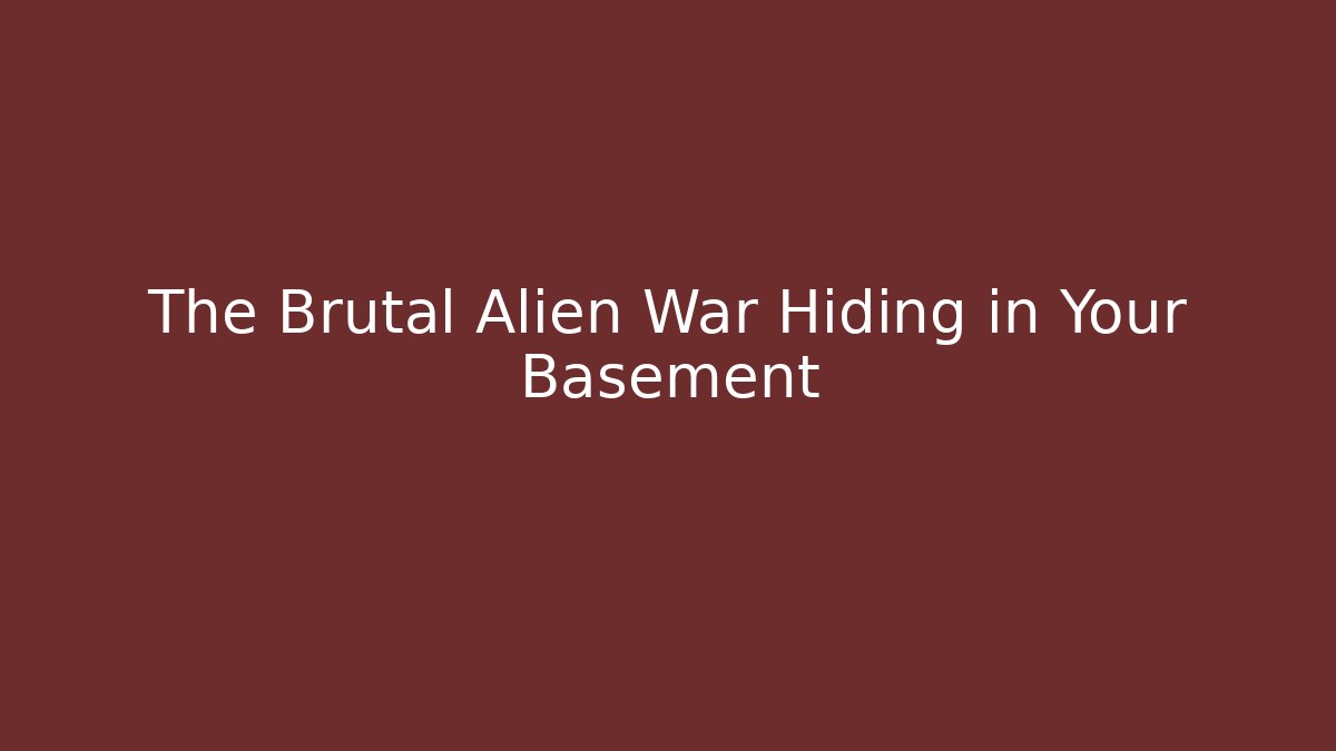 The Brutal Alien War Hiding in Your Basement - Felix Cat Insurance