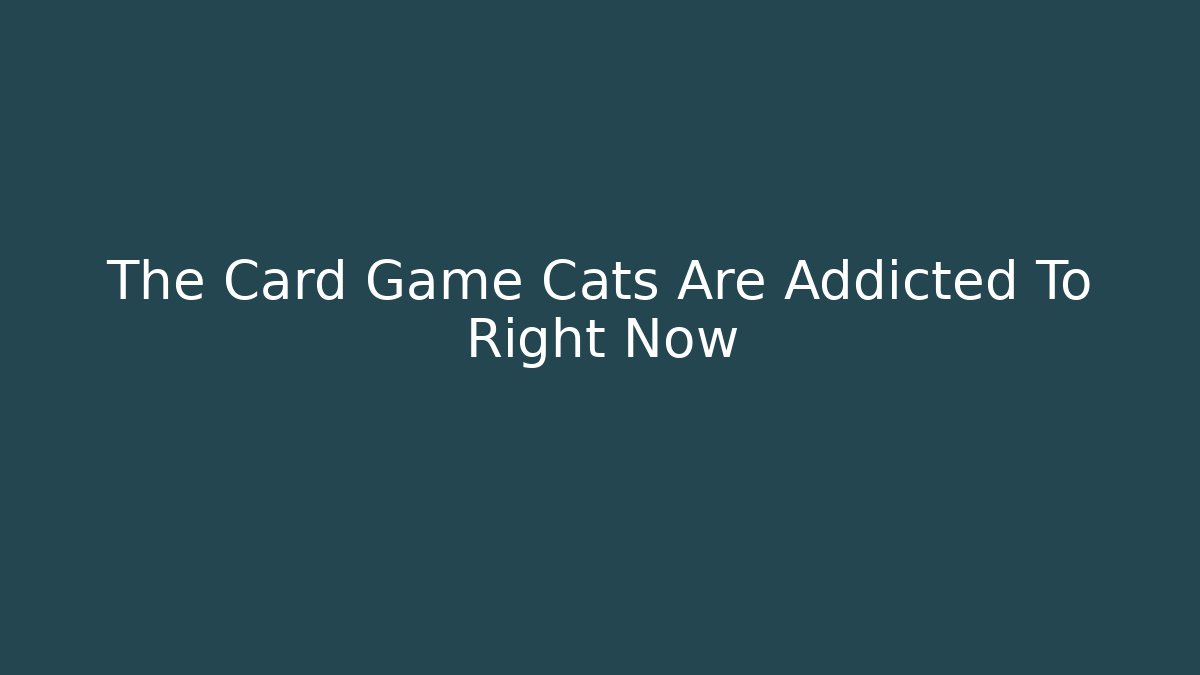 The Card Game Cats Are Addicted To Right Now