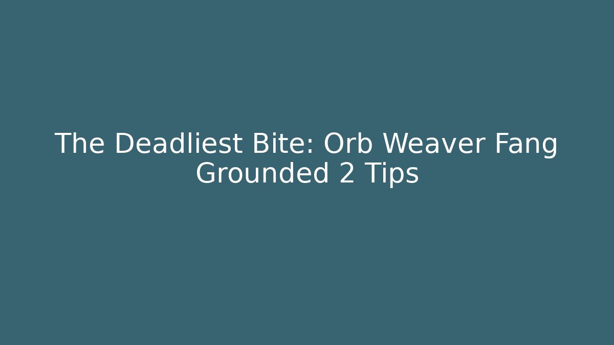 The Deadliest Bite: Orb Weaver Fang Grounded 2 Tips