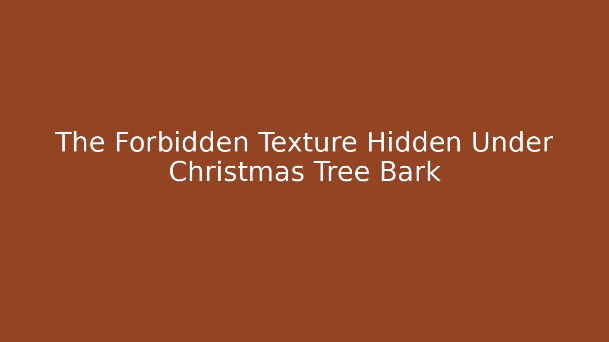 The Forbidden Texture Hidden Under Christmas Tree Bark
