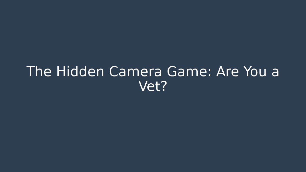 The Hidden Camera Game: Are You a Vet?