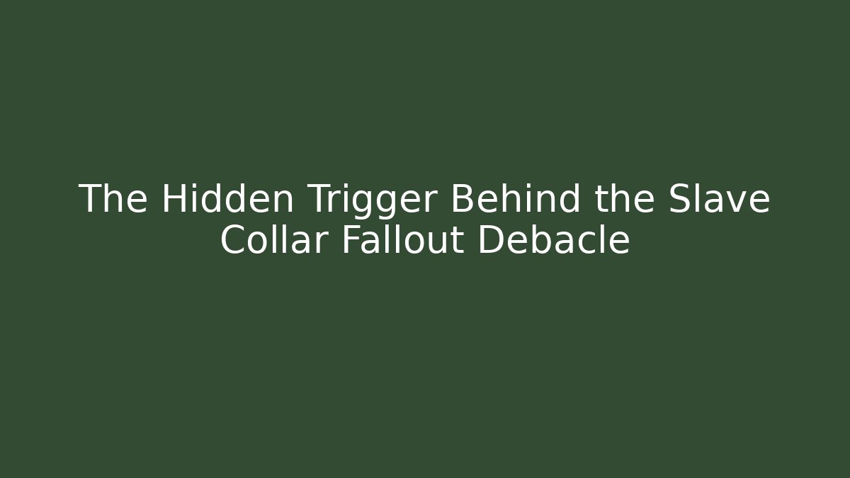 The Hidden Trigger Behind the Slave Collar Fallout Debacle