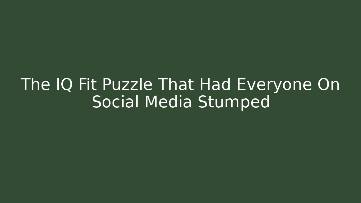 The IQ Fit Puzzle That Had Everyone On Social Media Stumped
