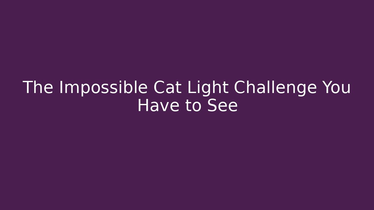 The Impossible Cat Light Challenge You Have to See