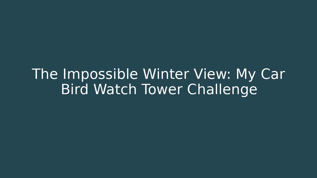 The Impossible Winter View: My Car Bird Watch Tower Challenge