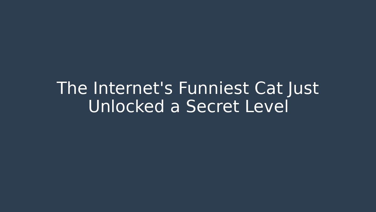 The Internet’s Funniest Cat Just Unlocked a Secret Level
