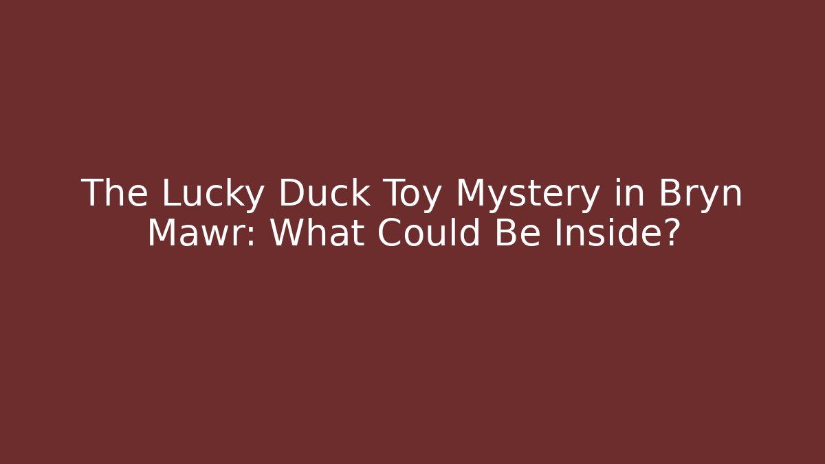 The Lucky Duck Toy Mystery in Bryn Mawr: What Could Be Inside?