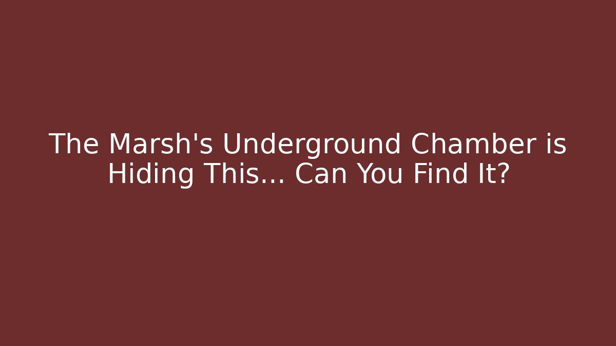 The Marsh's Underground Chamber is Hiding This… Can You Find It?