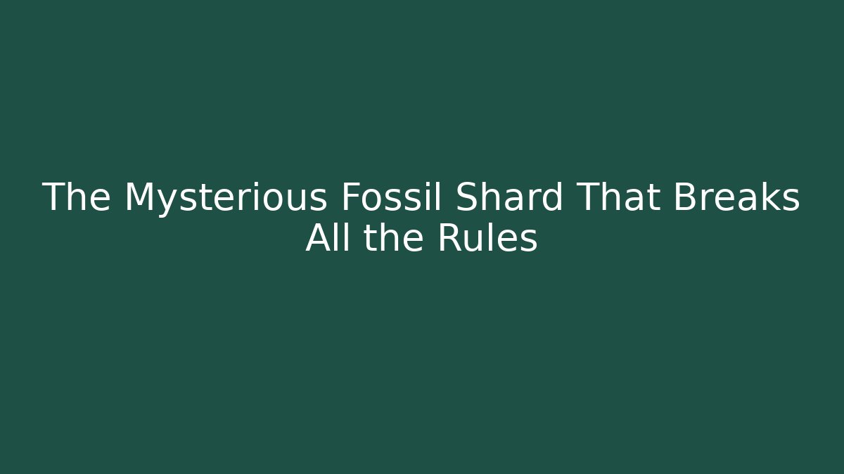 The Mysterious Fossil Shard That Breaks All the Rules