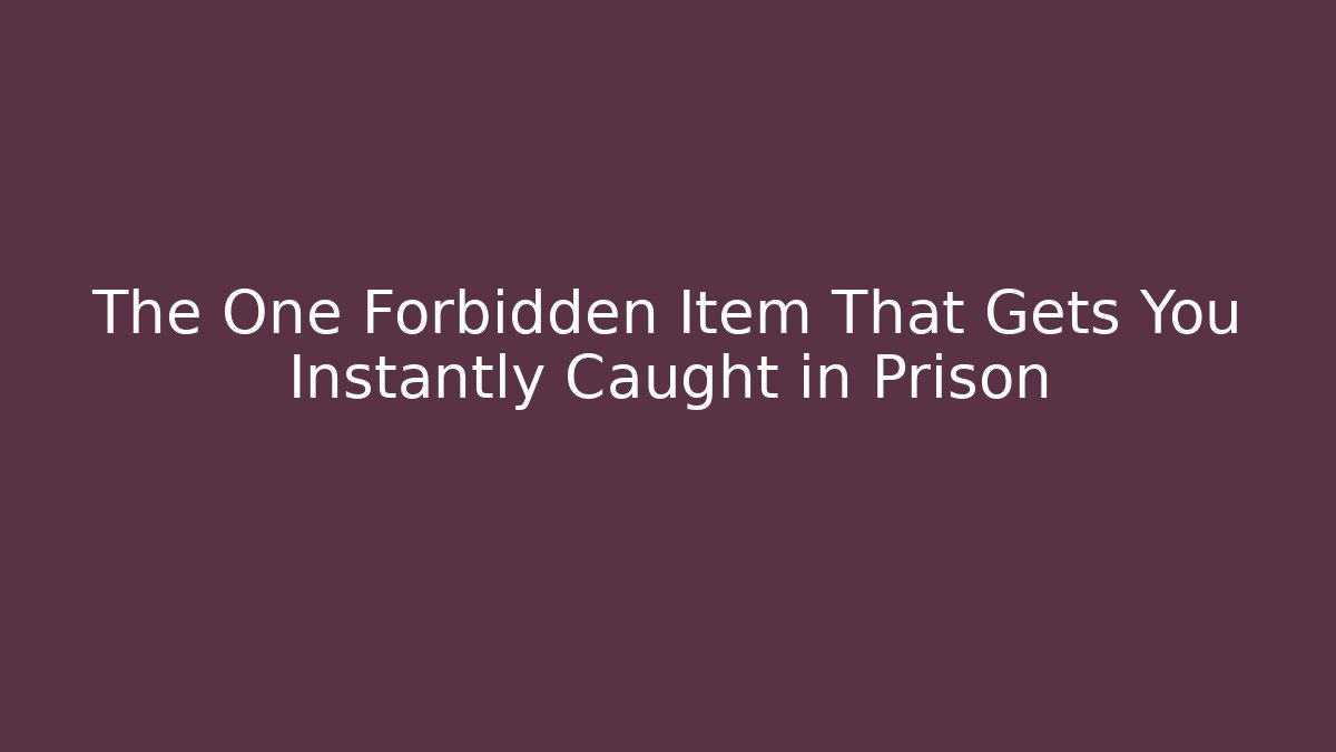 The One Forbidden Item That Gets You Instantly Caught in Prison - Felix Cat Insurance