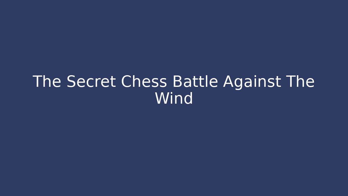 The Secret Chess Battle Against The Wind - Felix Cat Insurance