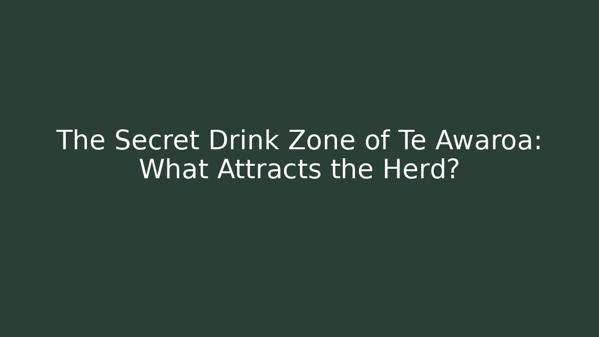 The Secret Drink Zone of Te Awaroa: What Attracts the Herd?
