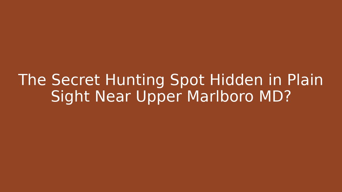 The Secret Hunting Spot Hidden in Plain Sight Near Upper Marlboro MD?
