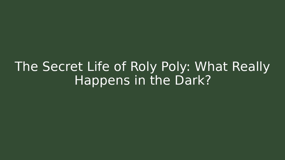 The Secret Life of Roly Poly: What Really Happens in the Dark?