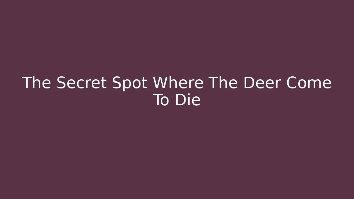 The Secret Spot Where The Deer Come To Die