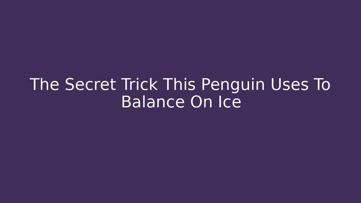 The Secret Trick This Penguin Uses To Balance On Ice