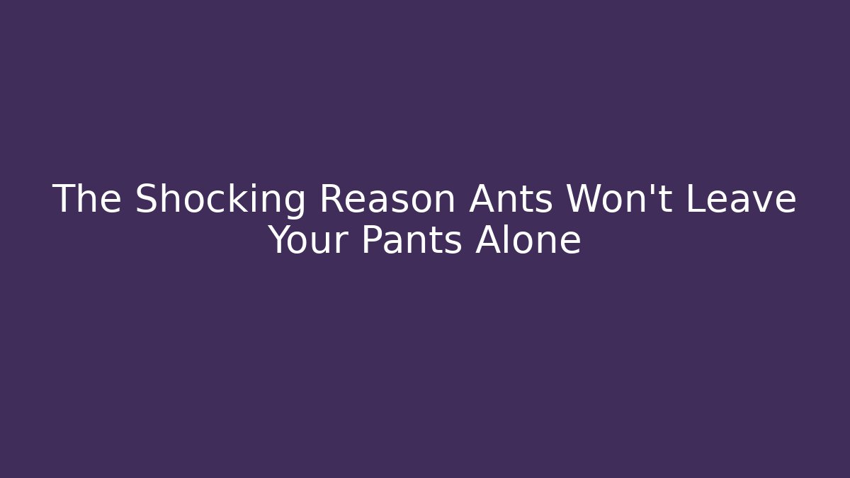 The Shocking Reason Ants Won’t Leave Your Pants Alone