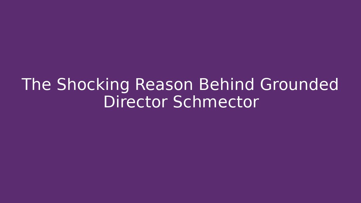 The Shocking Reason Behind Grounded Director Schmector