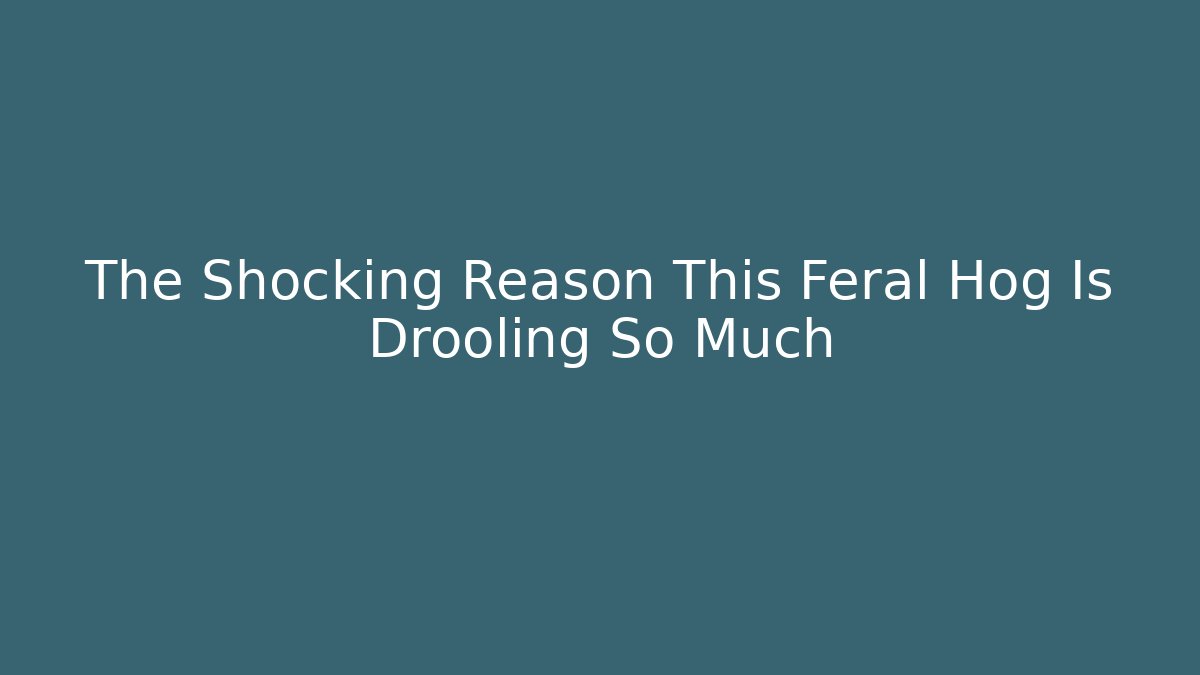 The Shocking Reason This Feral Hog Is Drooling So Much
