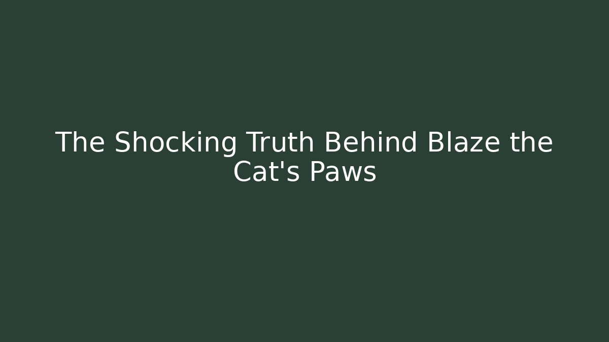 The Shocking Truth Behind Blaze the Cat's Paws - Felix Cat Insurance