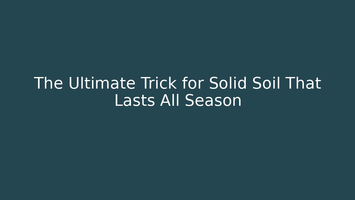 The Ultimate Trick for Solid Soil That Lasts All Season - Felix Cat Insurance