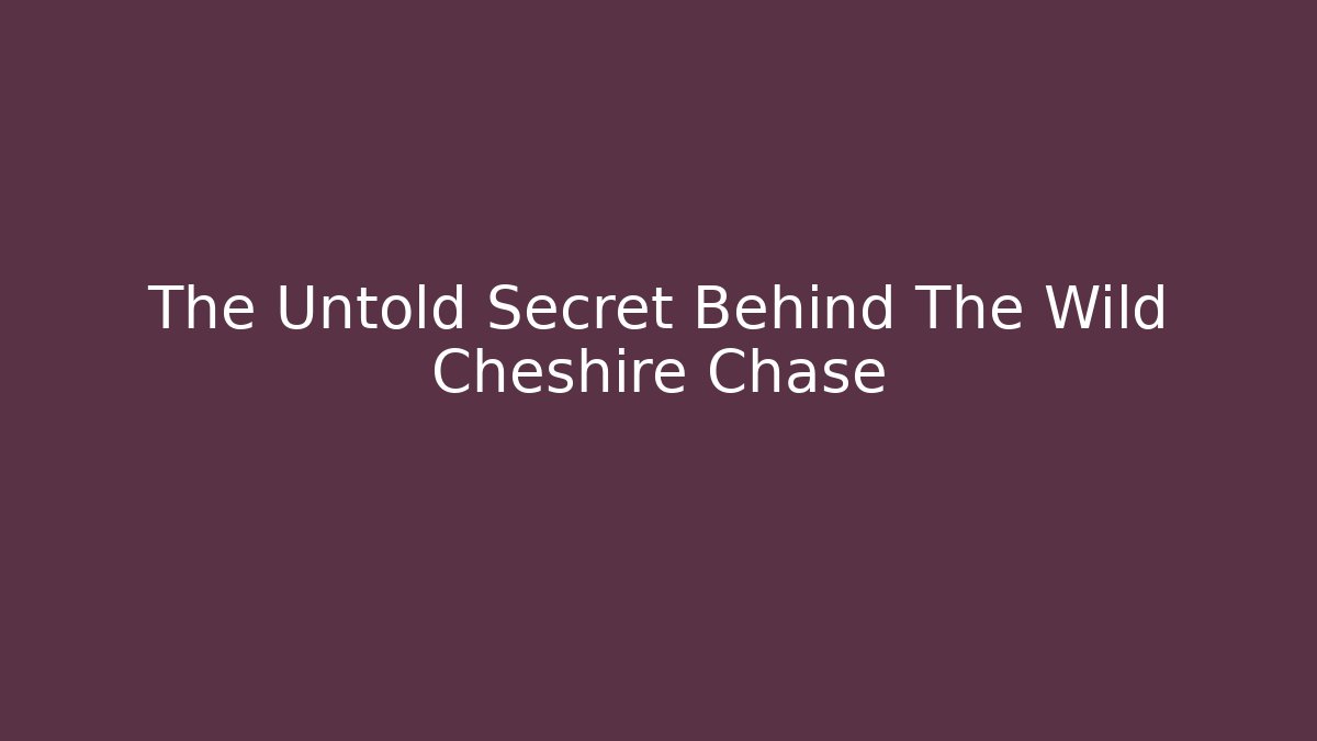 The Untold Secret Behind The Wild Cheshire Chase - Felix Cat Insurance