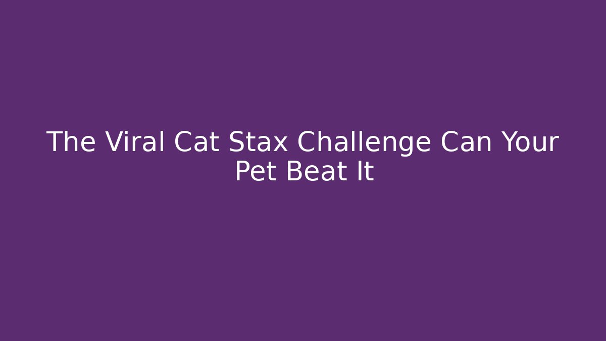 The Viral Cat Stax Challenge Can Your Pet Beat It
