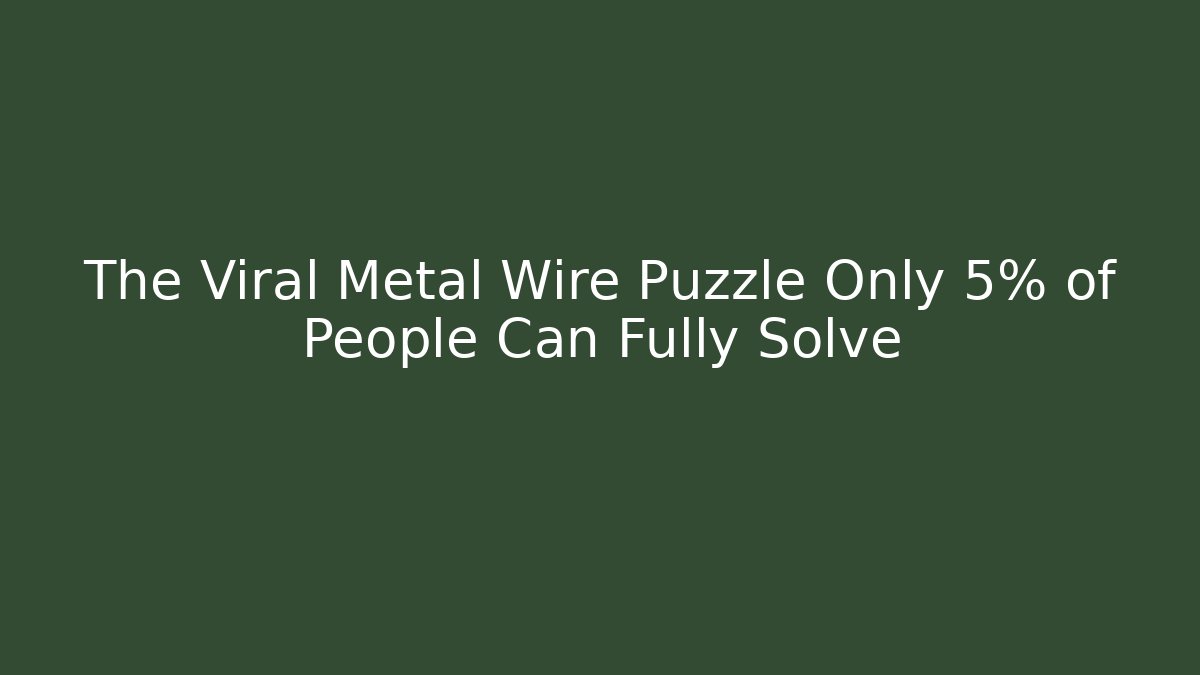 The Viral Metal Wire Puzzle Only 5% of People Can Fully Solve