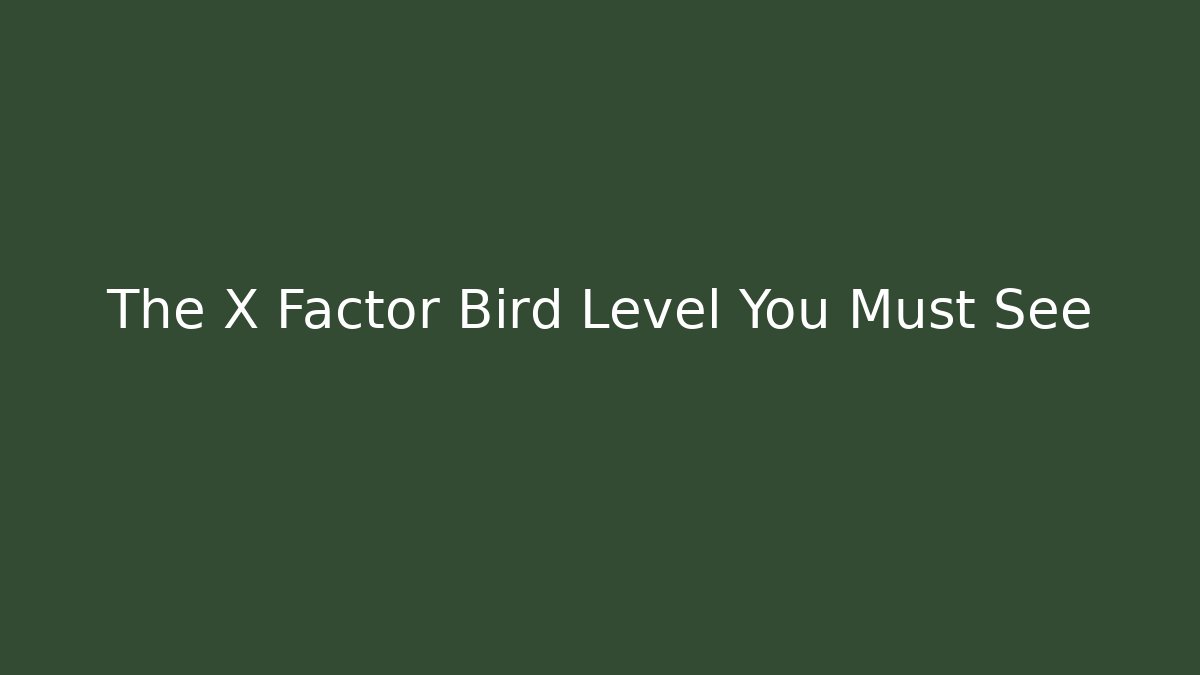 The X Factor Bird Level You Must See