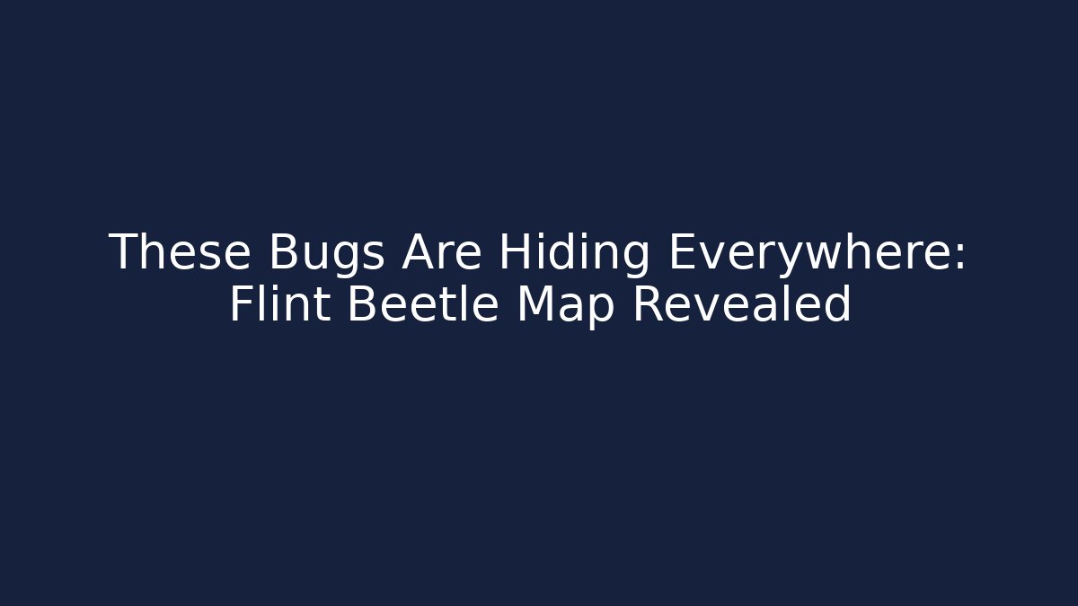 These Bugs Are Hiding Everywhere: Flint Beetle Map Revealed - Felix Cat Insurance