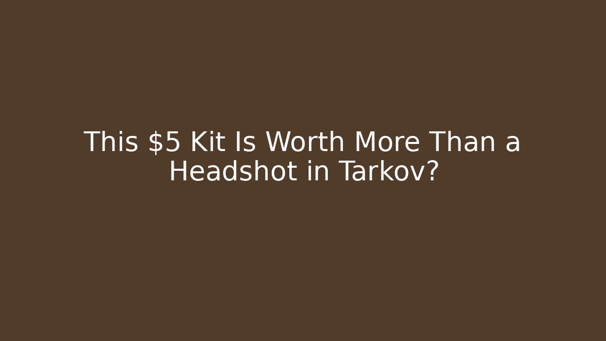 This $5 Kit Is Worth More Than a Headshot in Tarkov?