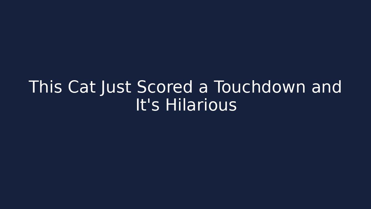 This Cat Just Scored a Touchdown and It’s Hilarious - Felix Cat Insurance