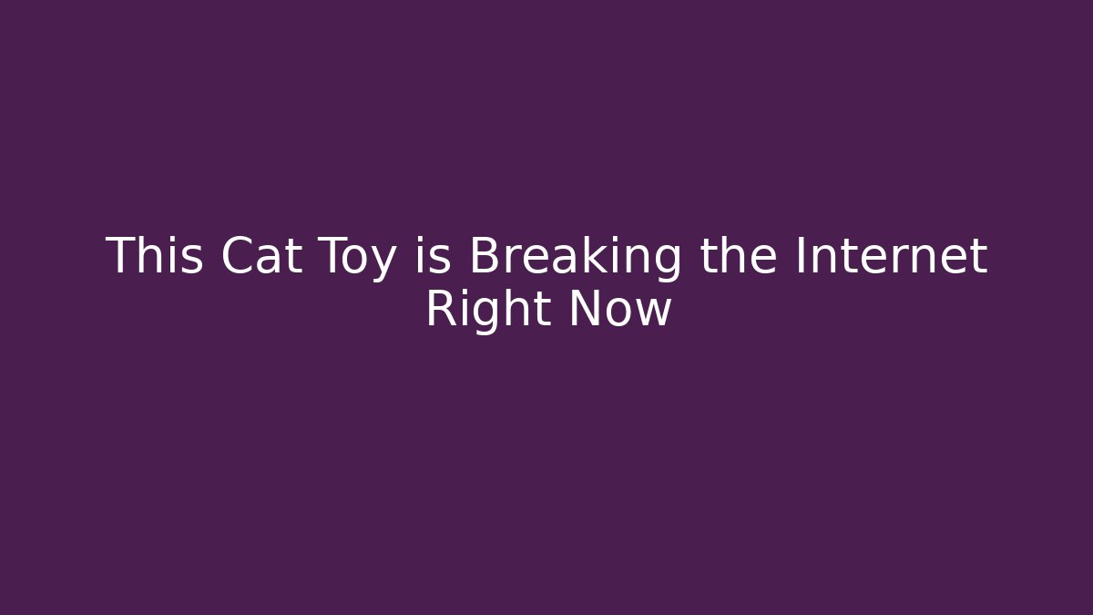 This Cat Toy is Breaking the Internet Right Now