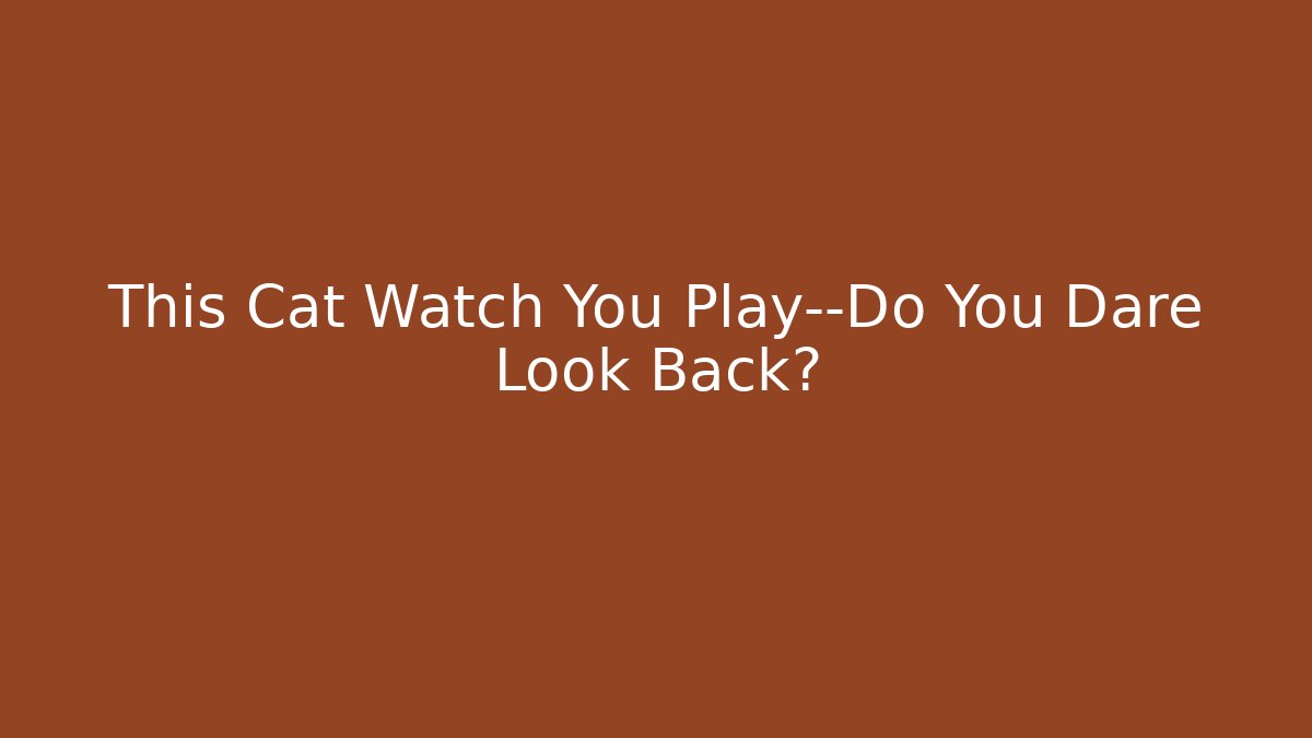 This Cat Watch You Play—Do You Dare Look Back?
