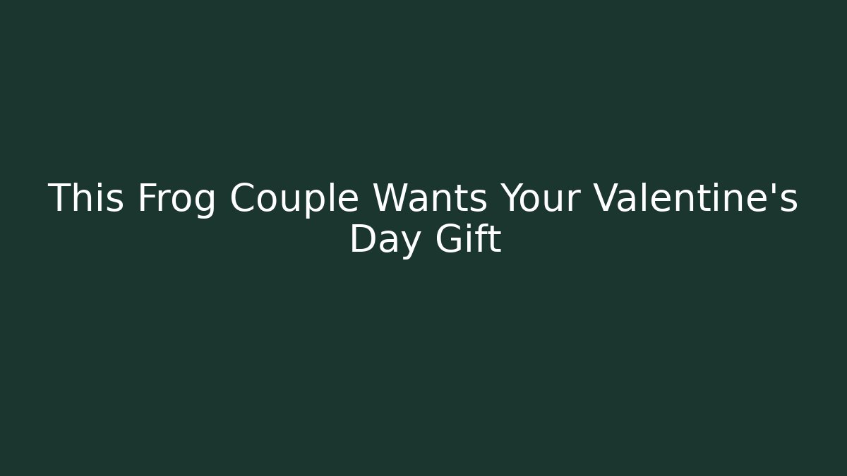 This Frog Couple Wants Your Valentine's Day Gift