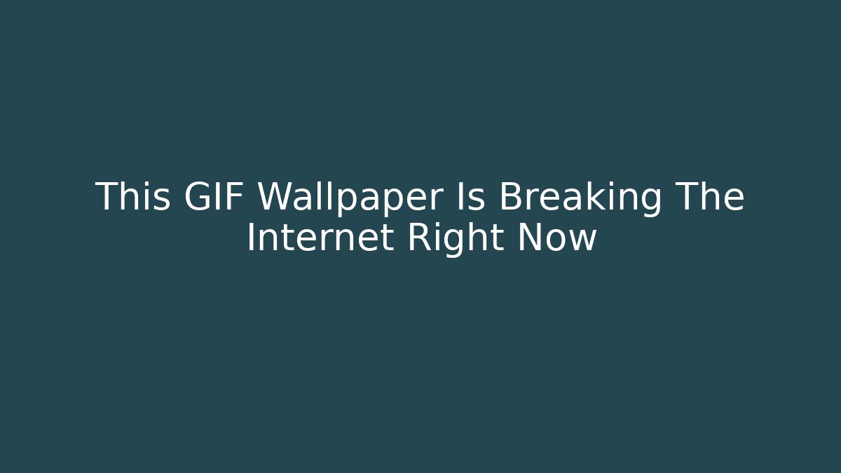 This GIF Wallpaper Is Breaking The Internet Right Now - Felix Cat Insurance