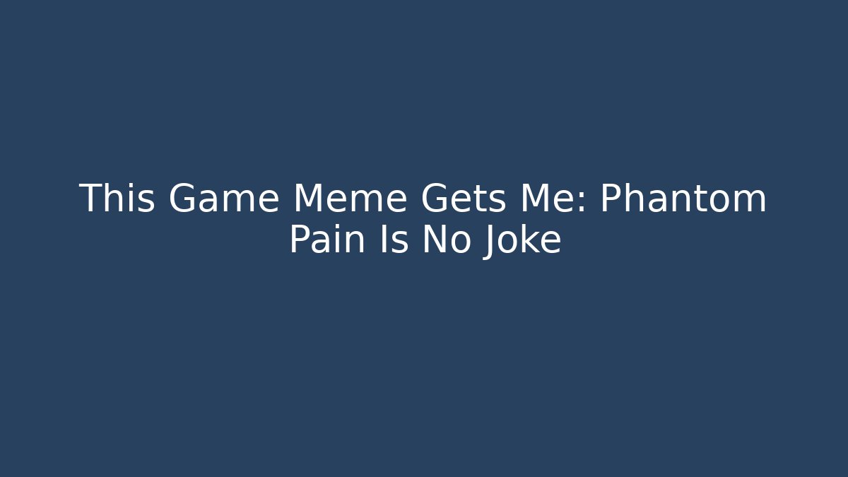 This Game Meme Gets Me: Phantom Pain Is No Joke - Felix Cat Insurance
