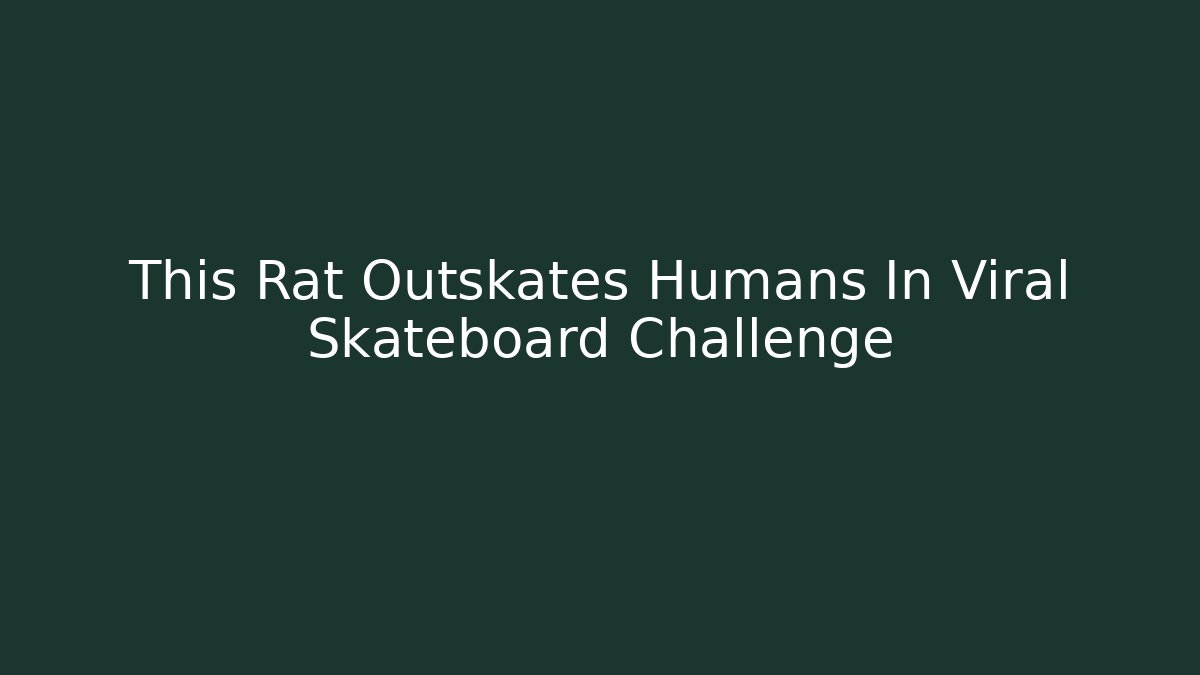 This Rat Outskates Humans In Viral Skateboard Challenge