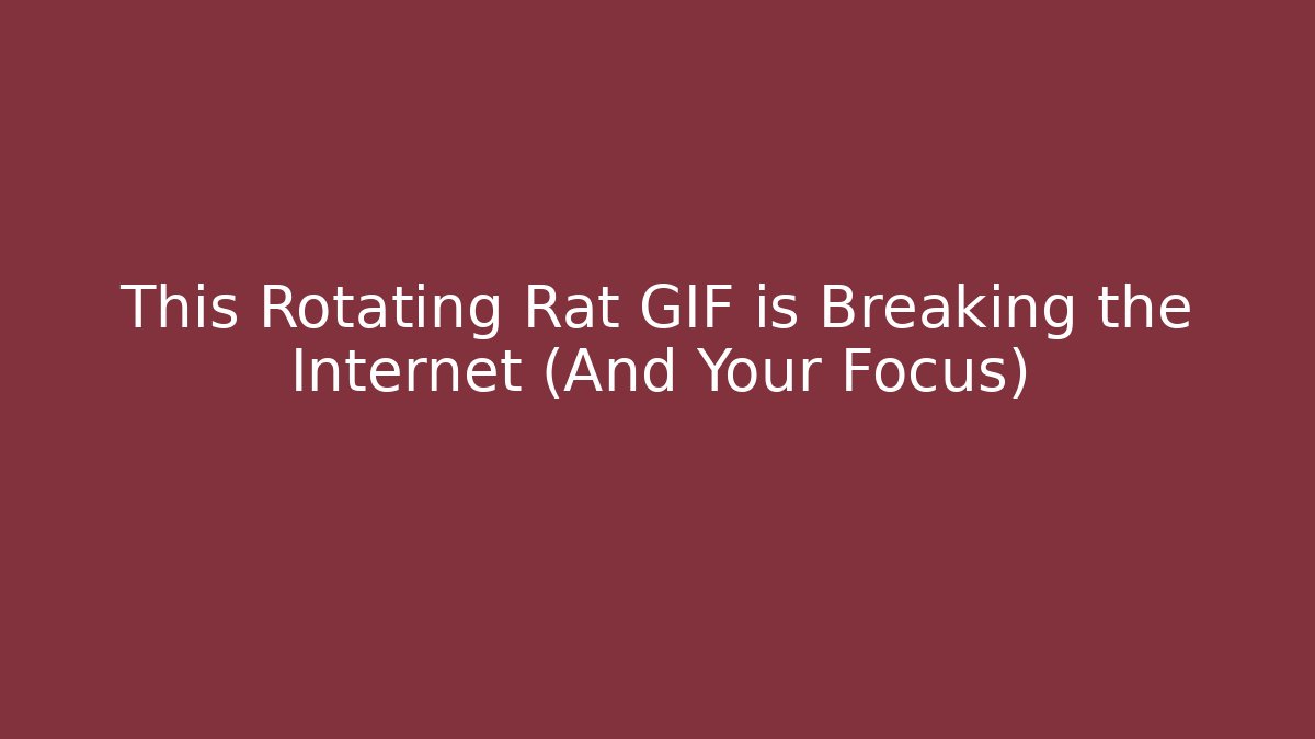 This Rotating Rat GIF is Breaking the Internet (And Your Focus)