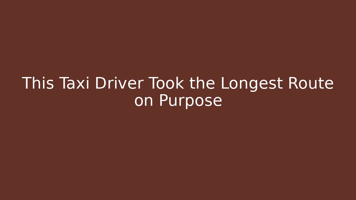 This Taxi Driver Took the Longest Route on Purpose - Felix Cat Insurance
