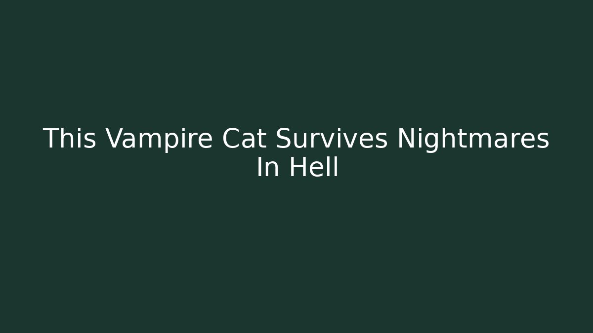 This Vampire Cat Survives Nightmares In Hell