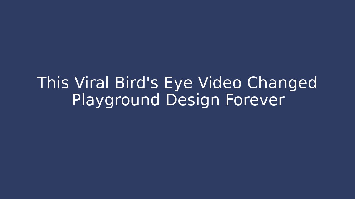 This Viral Bird's Eye Video Changed Playground Design Forever