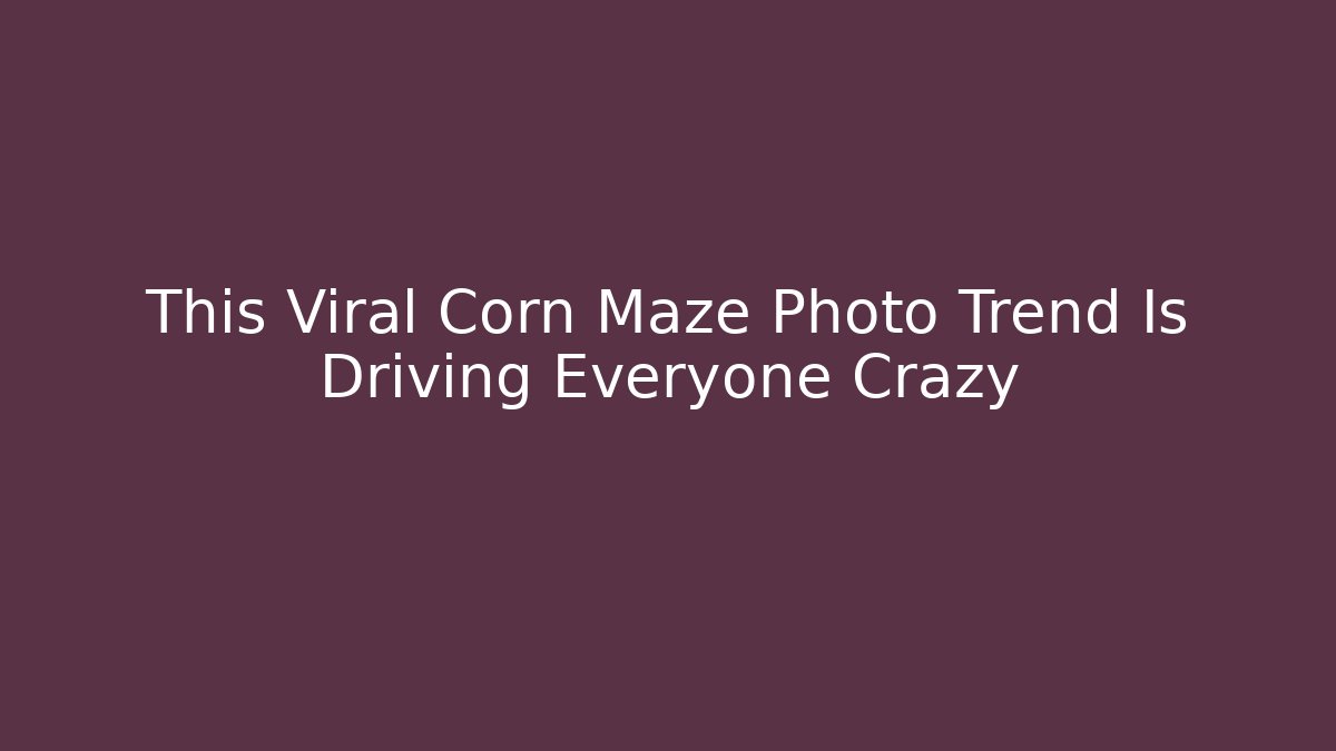 This Viral Corn Maze Photo Trend Is Driving Everyone Crazy