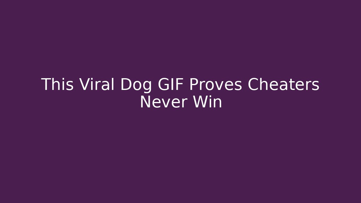 This Viral Dog GIF Proves Cheaters Never Win