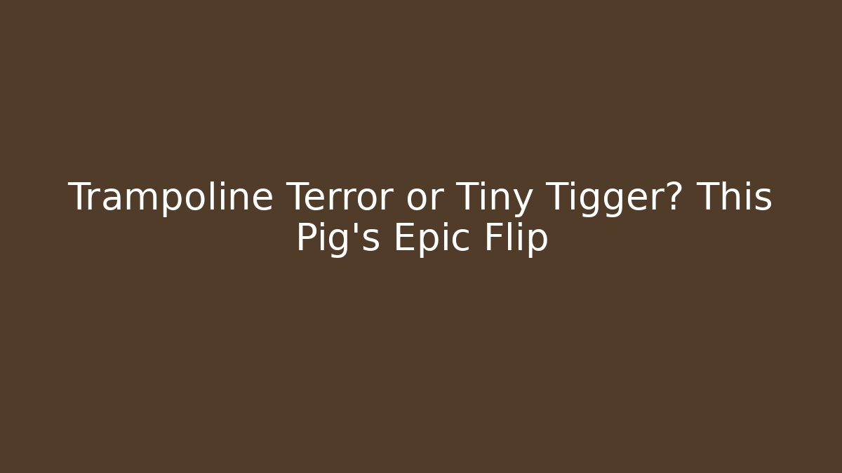 Trampoline Terror or Tiny Tigger? This Pig's Epic Flip - Felix Cat Insurance