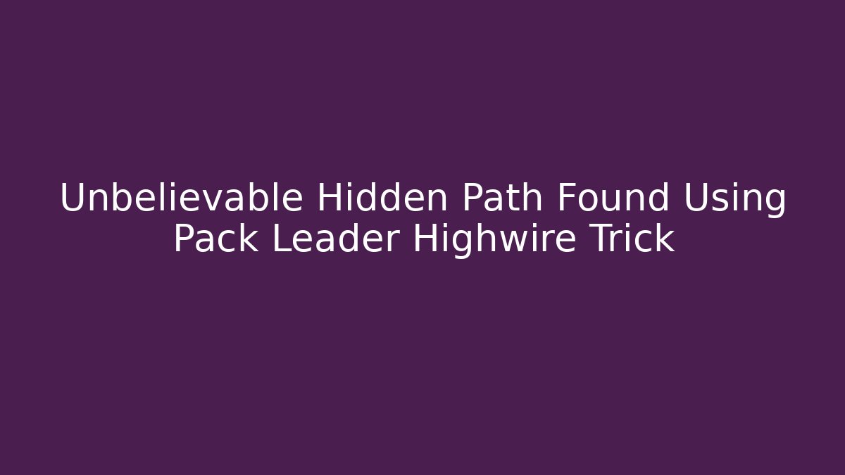Unbelievable Hidden Path Found Using Pack Leader Highwire Trick - Felix Cat Insurance