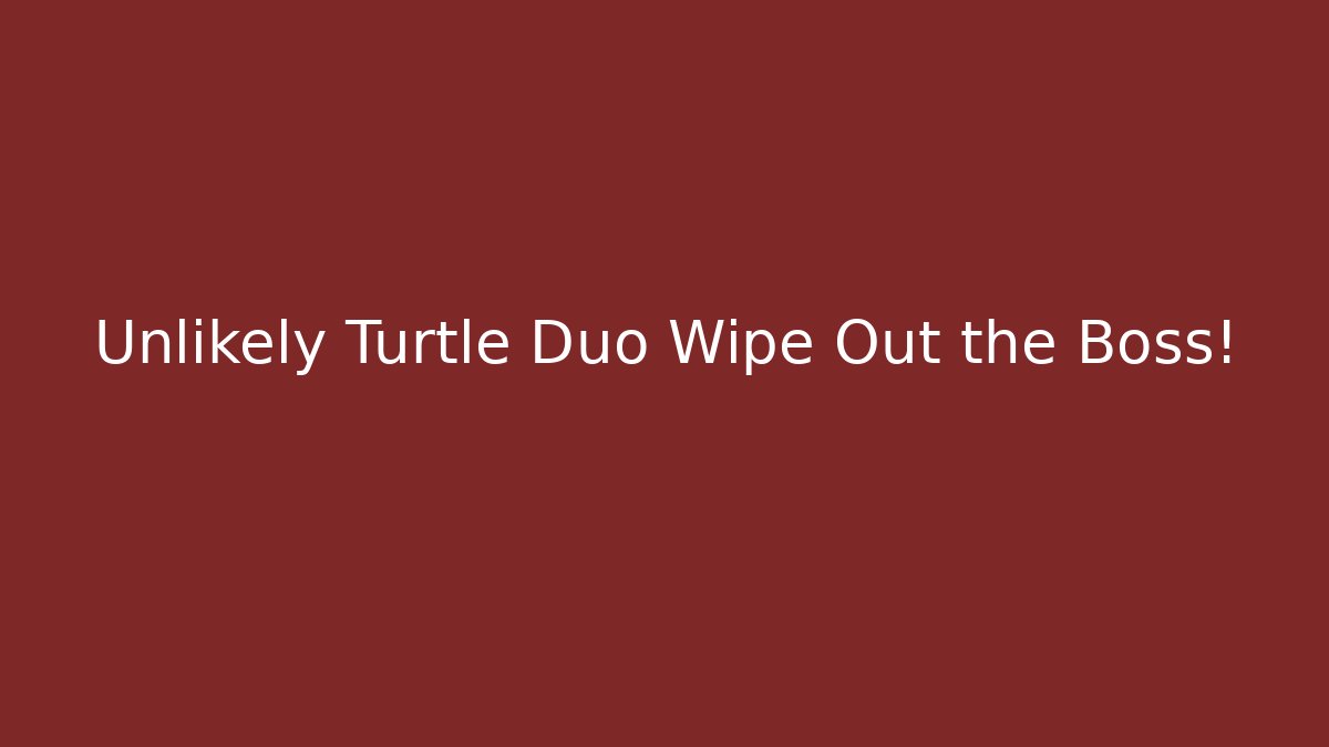 Unlikely Turtle Duo Wipe Out the Boss!