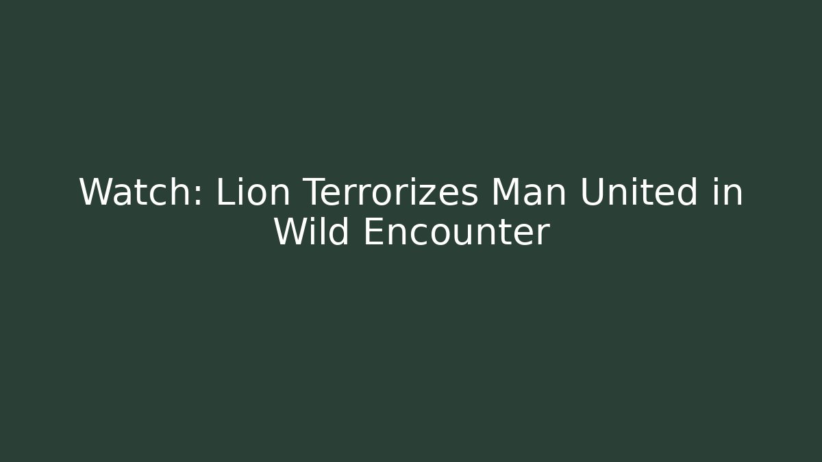 Watch: Lion Terrorizes Man United in Wild Encounter
