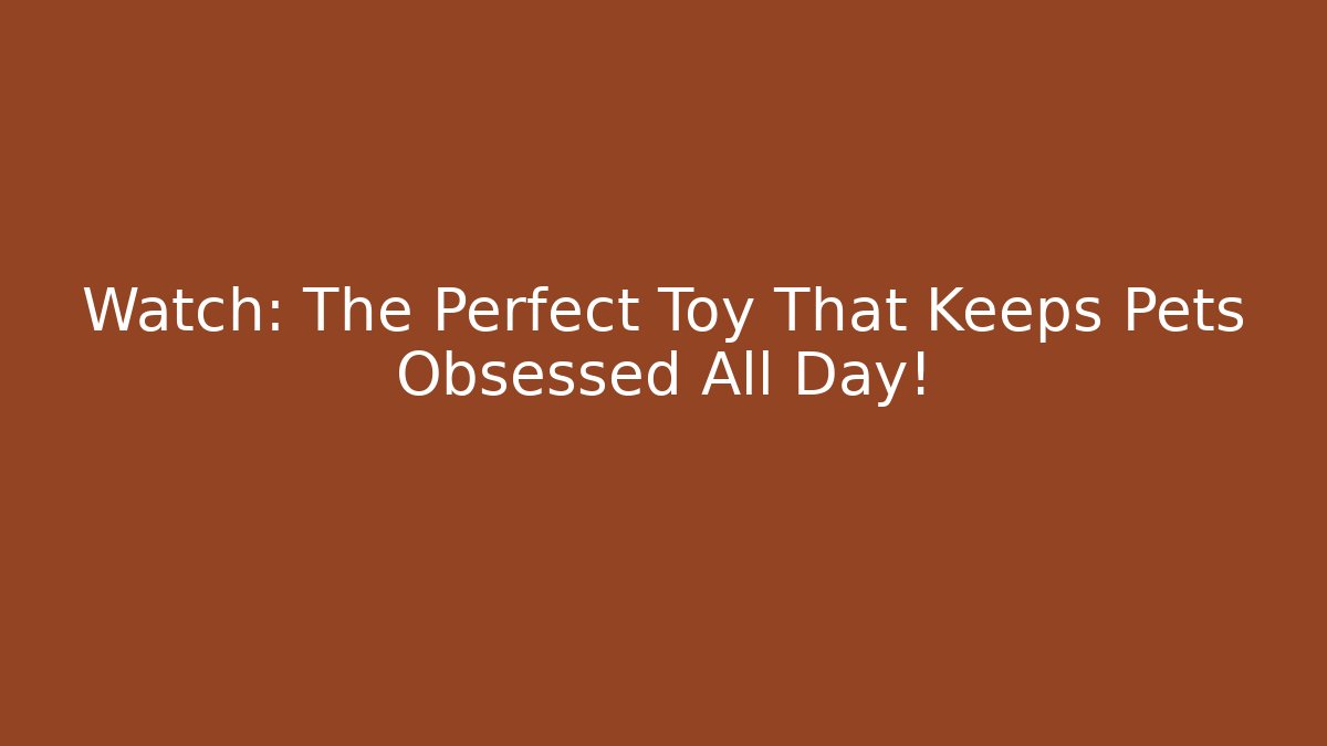 Watch: The Perfect Toy That Keeps Pets Obsessed All Day!