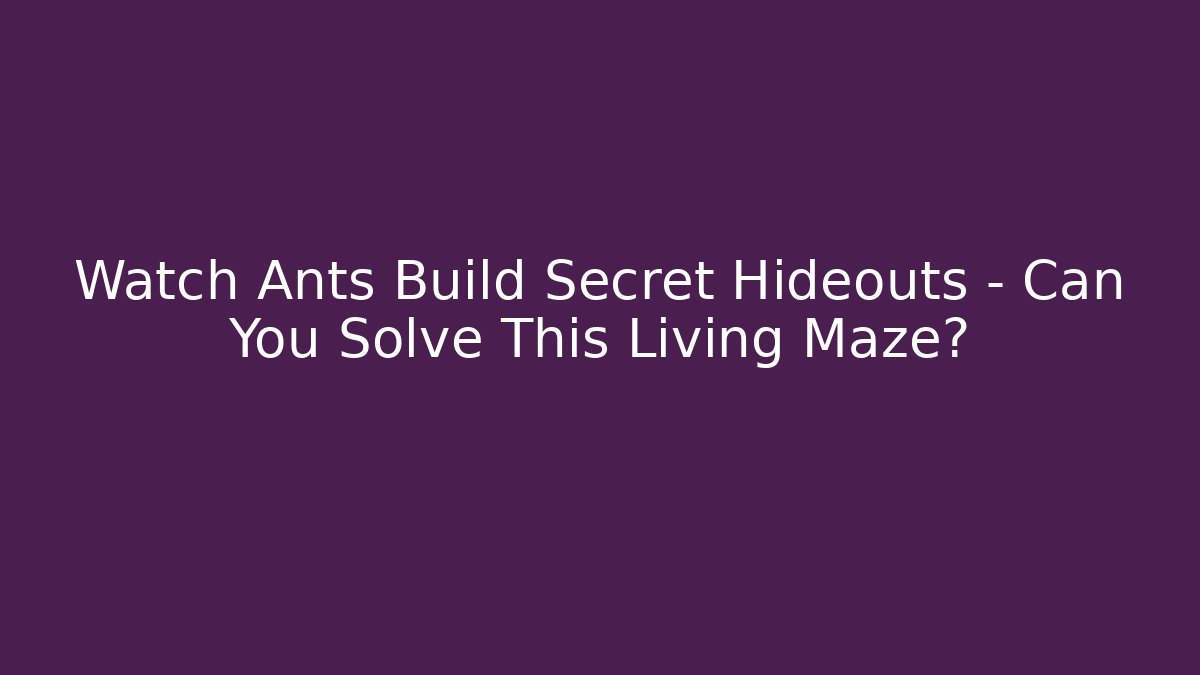 Watch Ants Build Secret Hideouts – Can You Solve This Living Maze?
